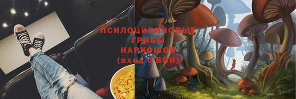 бошки Струнино