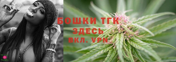стаф Ступино