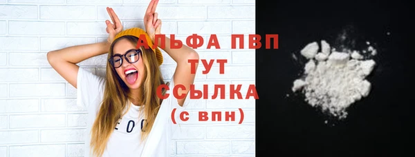 стаф Ступино