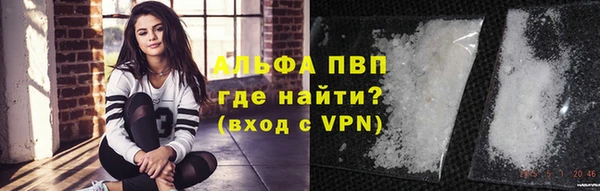 стаф Ступино