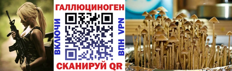 Купить Циолковский Псилоцибиновые грибы ЛСД