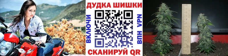 Купить закладки  Циолковский  Шишки марихуана OG Kush 